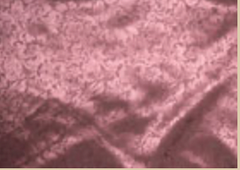 Brown Creek Wild Silk Rag Rose Pink Jacquard 44"