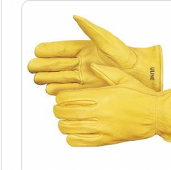 BDG Classic Deertan Leather Gloves Men's 20-1-366