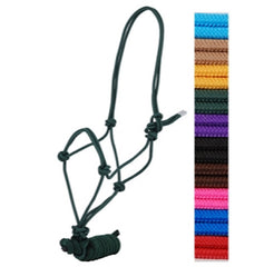 Tack: Halters/Leads