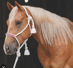 Pc Cowboy Braided Muletape Halter/lead White/Red HRCBW-Whi/Red