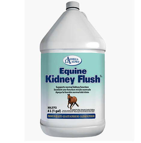Aomega Equine Kidney Flush 4 L