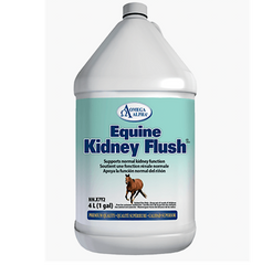 Omega Alpha Equine Kidney Flush 4L