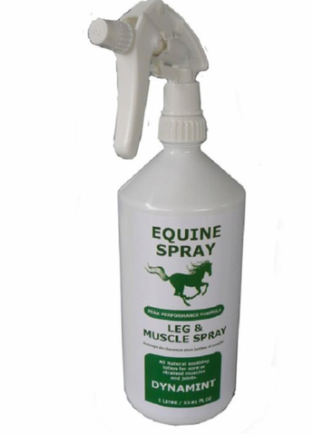 Dynamint Equine Liniment Spray 33.81 oz