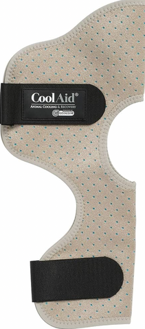 Cool Aid Equine Hock Wrap