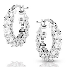 Montana Silversmiths Dazzling Delight Crystal Hoop Earrings ER5639