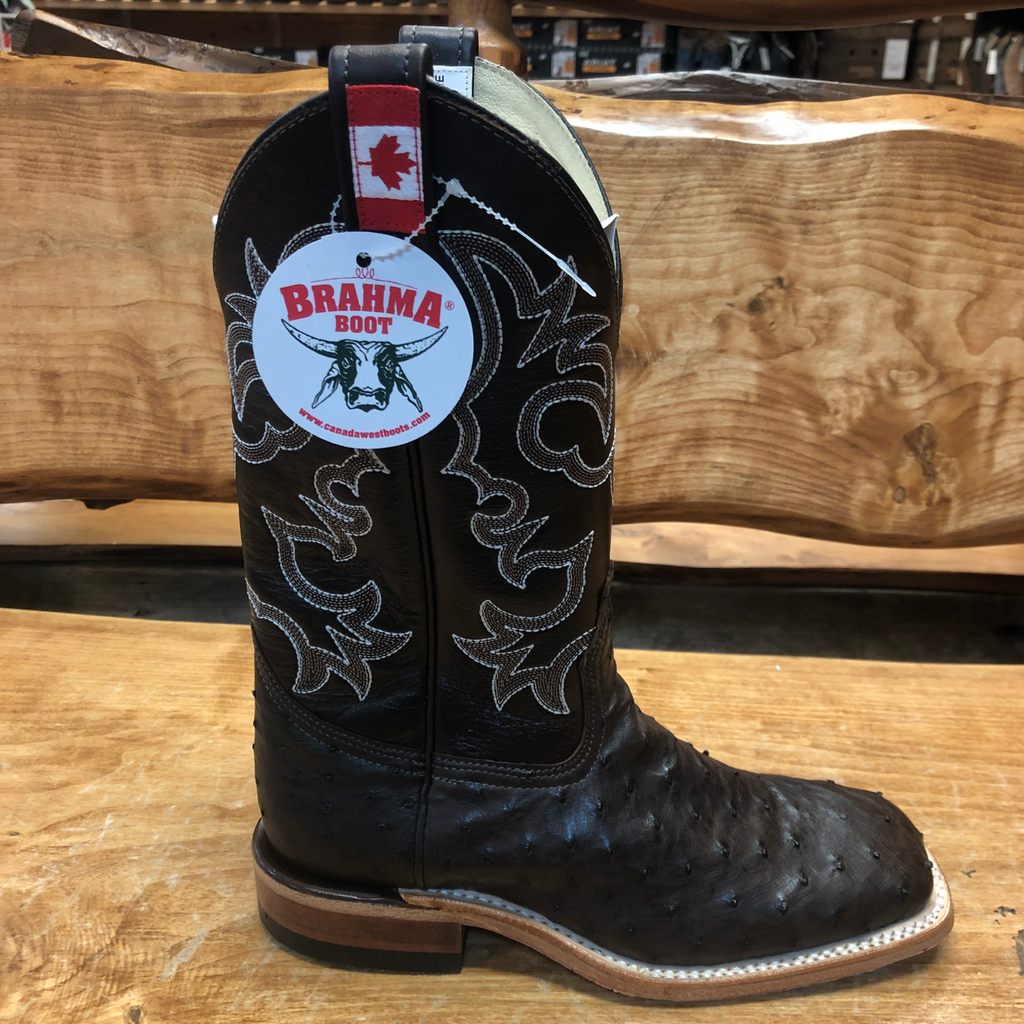Brahma Men s Chocolate Ostrich Boots 8103 1 Jones Boys Saddlery