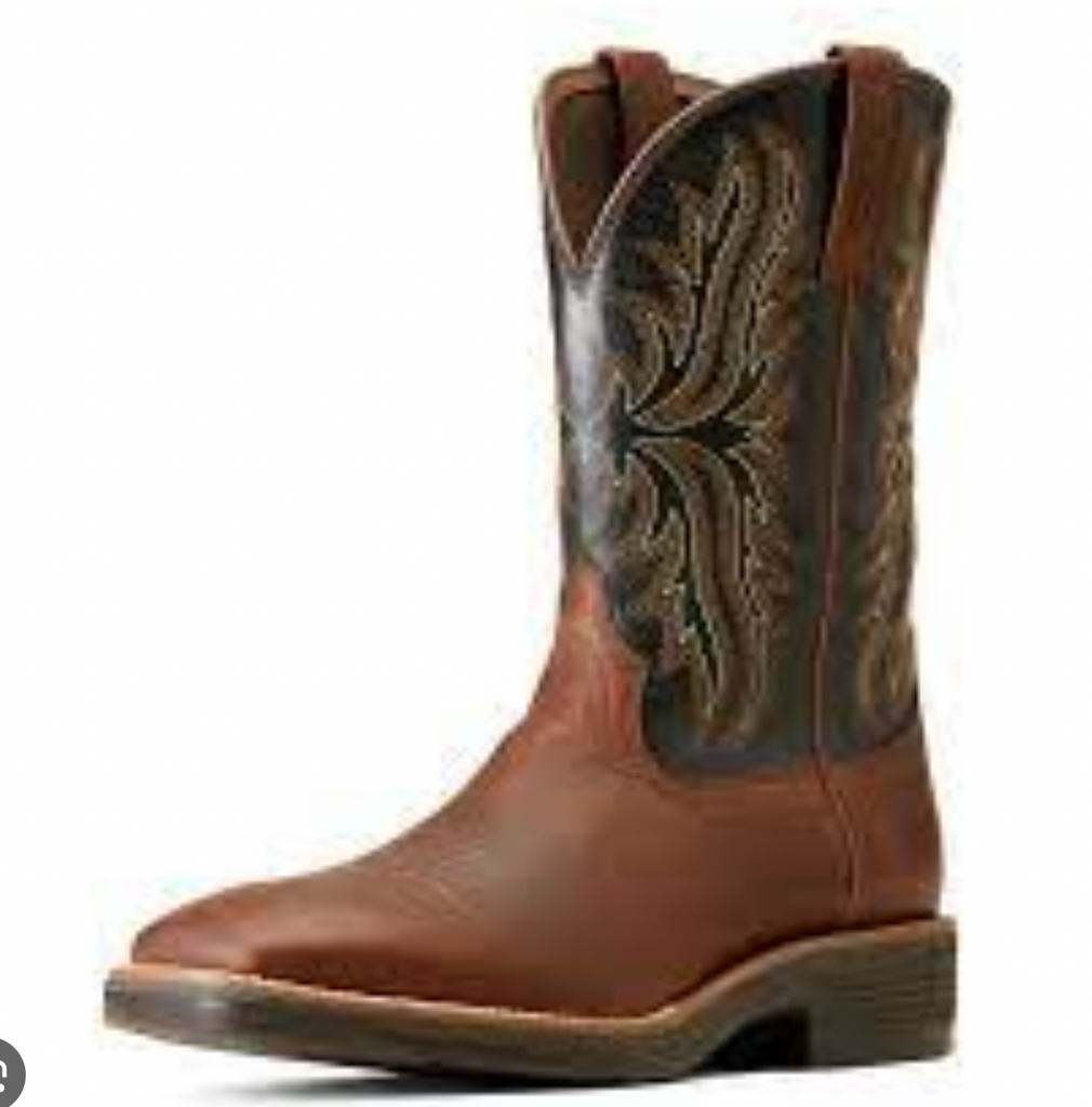 Ariat 10014053 top