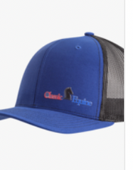 Richardson Classic Equine Cap CAPCE40