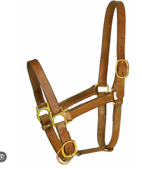 Professionals Choice Leather Turn Out Halter