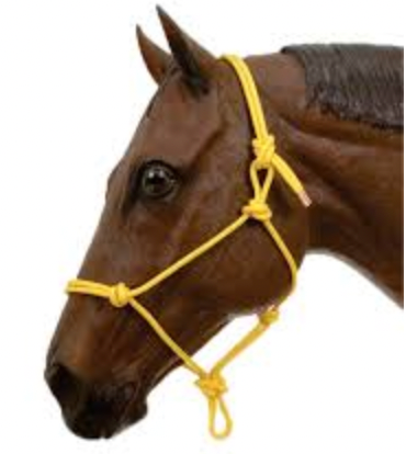 Hi-Brow Rope Halter