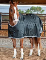 Classic Equine Stable Sheet Closed Front