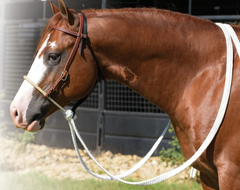 Professional's Choice Loping Hackamore Rawhide Nose MT Rein RH8167