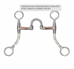 FG FRANCOIS GAUTHIER BRUSHED STAINLESS STEEL SMOOTH CORRECTION BIT 255380