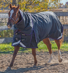 Canadian Horsewear VIOLET Diablo Rainsheet 50 gm