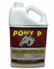 Pony XP 4L