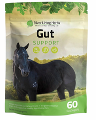 Silver Lining Herbs Gut Support 1 LB (454 Grams)