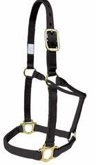 Hi Brow Yearling Halter