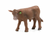 Little Buster Toys Red Angus Calf