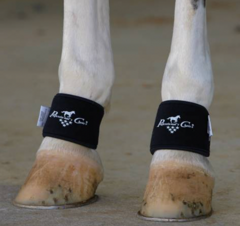 Professional's Choice 2XCool Pastern Wraps XCPW