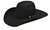 Ariat Felt Hat Kids A7210001