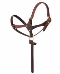 Weaver Figure 8 Foal Halter Suckling 10802-10