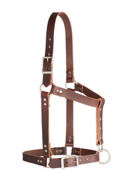 Weaver Riveted Halter 10803