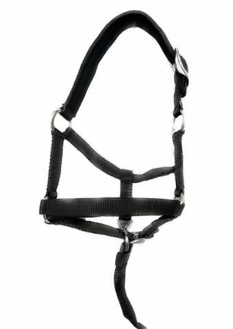 Ger Ryan Weanling Halter Black 832