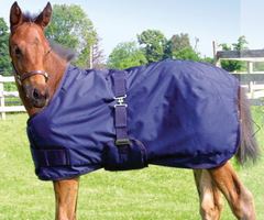 Ger Ryan Foal & Mini Turnout 19225