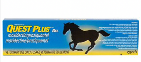 Quest Plus Gel