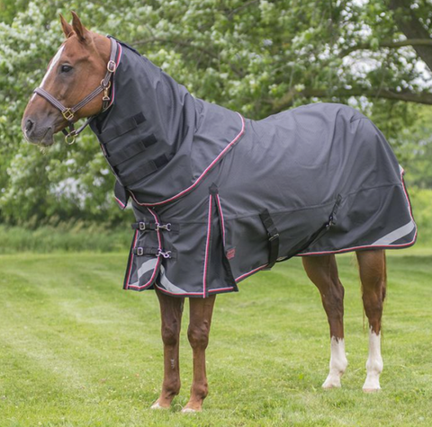Canadian Horsewear Magnum EZ Neck Diablo Rainsheet W/Neck 25806