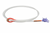 Rattler Calf String Red Eye