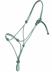 Steele Halter Yearling No lead