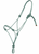 Steele Halter Yearling No lead