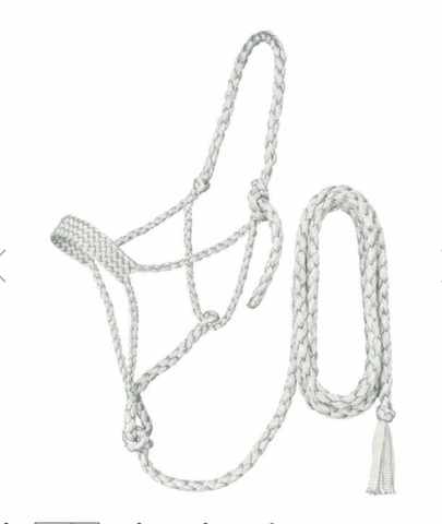 Ger Ryan Mule Tape Halter w/lead 16-605