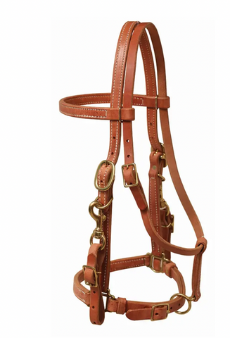 Berlin Halter Bridle Combo H375