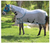Professional's Choice Comfort Fit Fly Sheet CFS