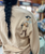 Blue B. Collection Western Embroider Sweater Women's 23230T