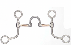 Western Rawhide Francois Gauthier Brushed Stainless Steel Short Cheeked Correctional Bit 255375