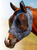 Professional's Choice Lycra Comfort Fit Horse Fly Mask