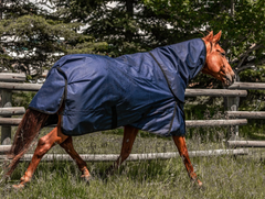 Alliance Equine OG Rain Sheet