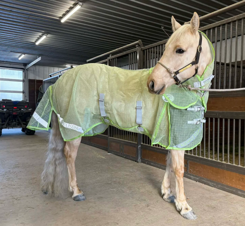 Alliance Equine Buzz Off Fly Sheet