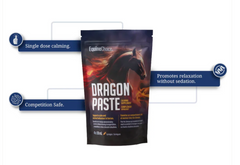 EquineChoice Dragon Paste Calming Supplement