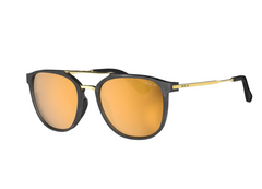 Bex Sunglasses Dillinger OTG S169TBG Tortoise Grey/Brown/Gold