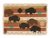 Park Designs Stampede Placemats