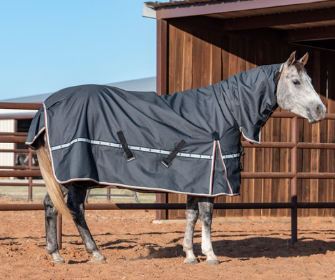 5K Cross Trainer Hooded Turnout Blanket CXB5HCHRS
