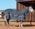 5K Cross Trainer Hooded Turnout Blanket CXB5HCHRS