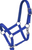 Hi-Brow Nylon Foal Halter