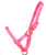 Hi-Brow Nylon Foal Halter