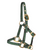 Hi Brow Yearling Halter