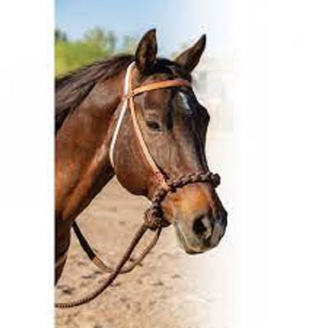 Professionals Choice Loping Hackamore 8168HL